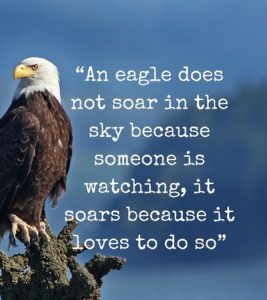 42 Soaring with Eagles Quotes 2024 - Mzuri Springs